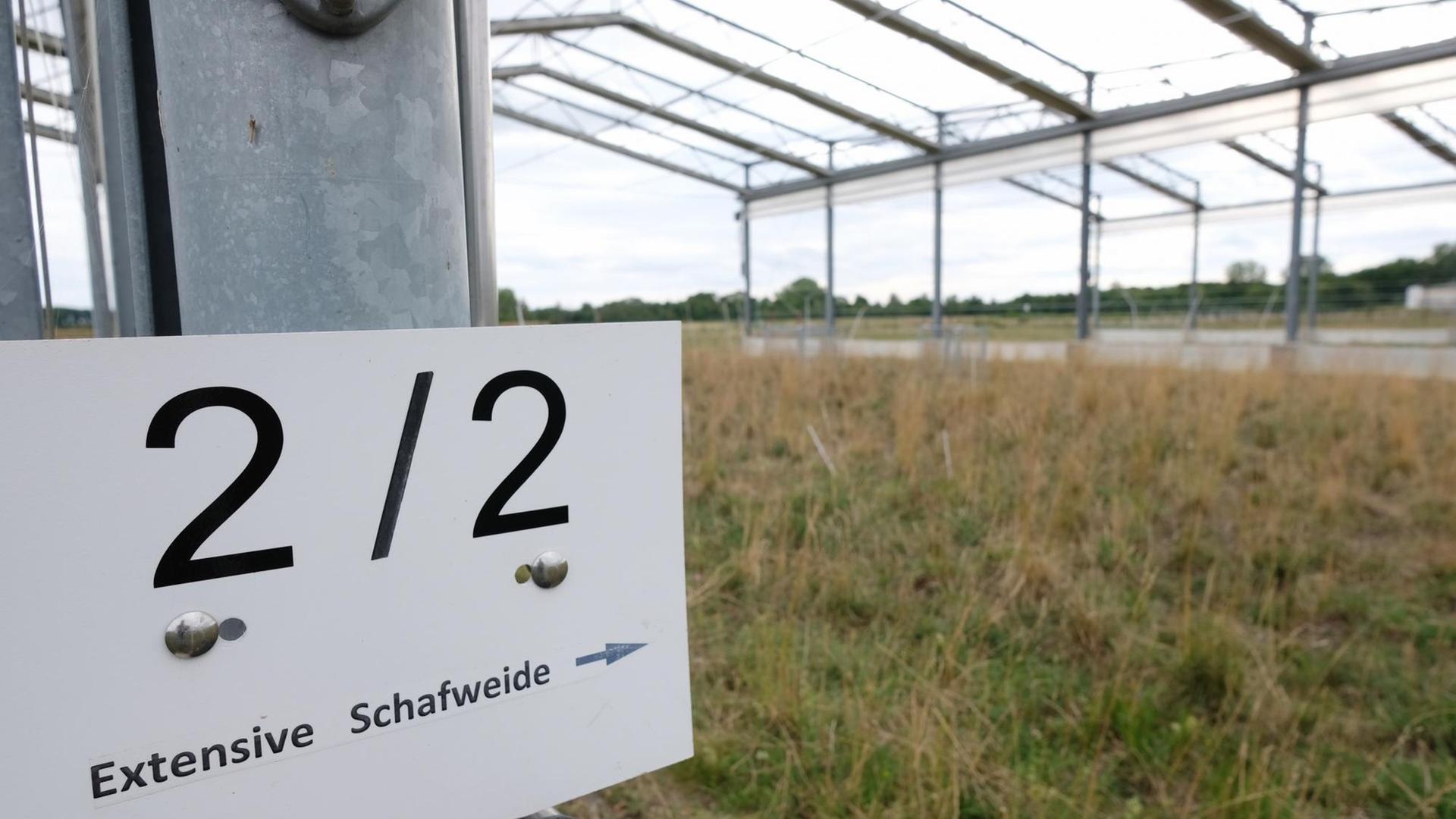 Ackerflächen in der Klimaversuchsanlage des Helmholtz-Zentrums für Umweltforschung in Bad Lauchstädt. Dort werden verschiedene Anbauflächen zur Forschung beobachtet.