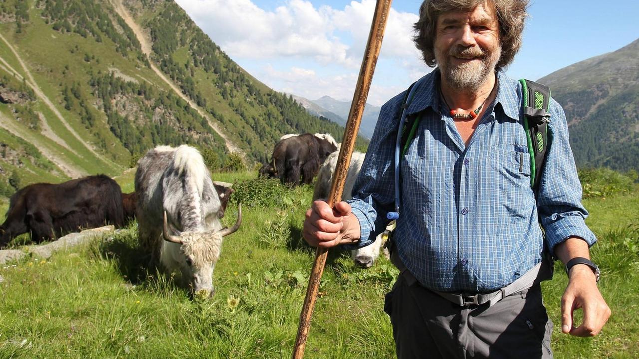 Reinhold Messner treibt die Yaks auf 3000 m Höhe, wo sie den Sommer verbringen
