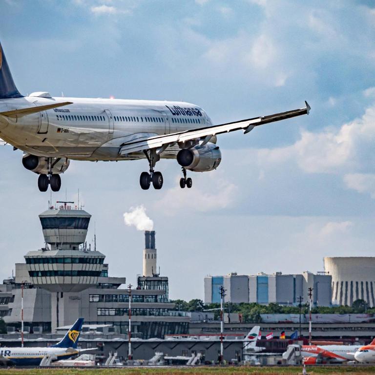Ein Lufthansa-Flugzeug im Anflug auf den Flughafen Berlin-Tegel