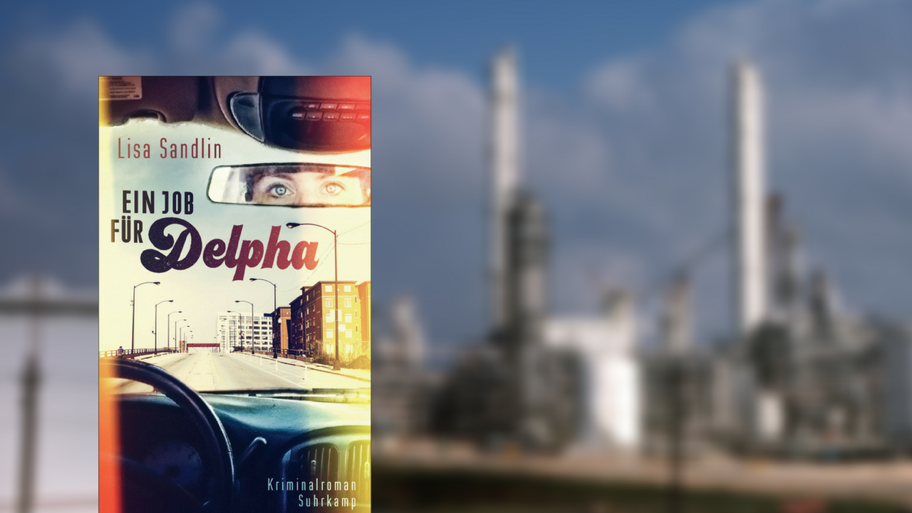 Buchcover: "Ein Job für Delpha"