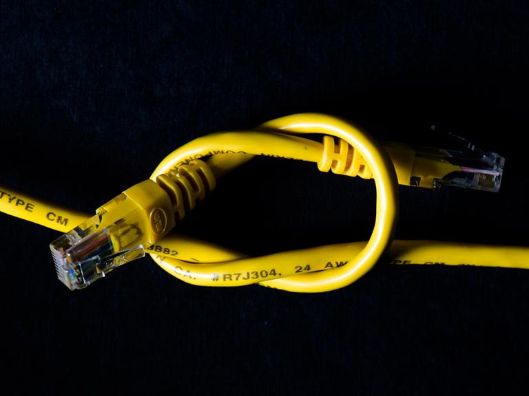 Zwei LAN-Kabel sind durch einen Knoten verbunden.