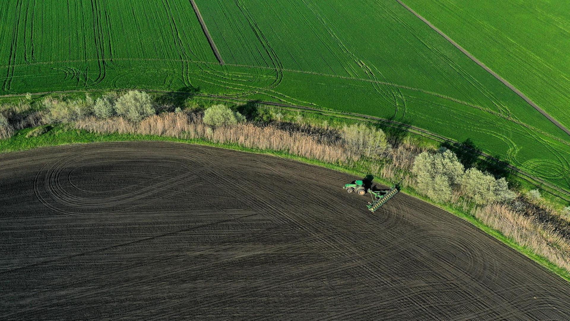 6531018 28.04.2021 An aerial view shows sugar beet sowing underway in fields of the Krasnodar region, in Russia. Vitaly Timkiv / Sputnik