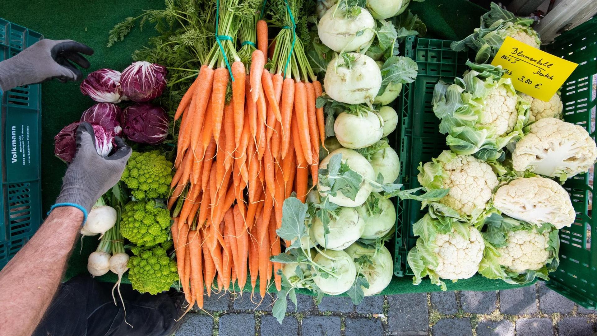 Frisches Gemüse: Möhren, Kohlrabi, Blumenkohl