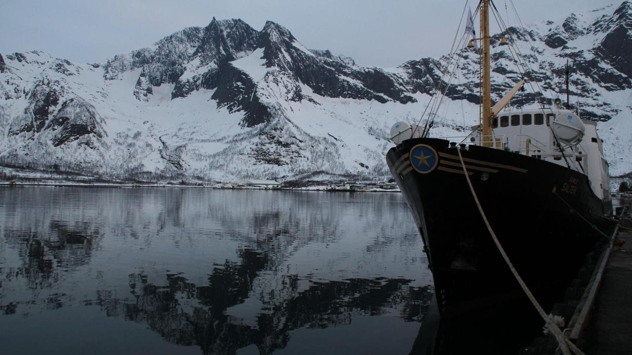 Das Touristenschiff "Gamle Salten" - die alte Dame - in Senjahopen in Nord-Norwegen