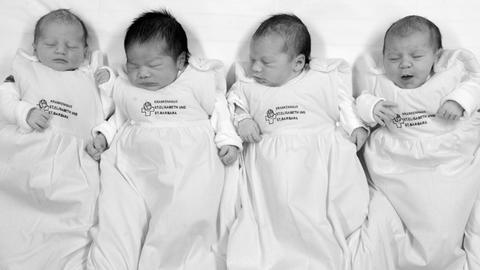 Vier Babys liegen nebeneinander.