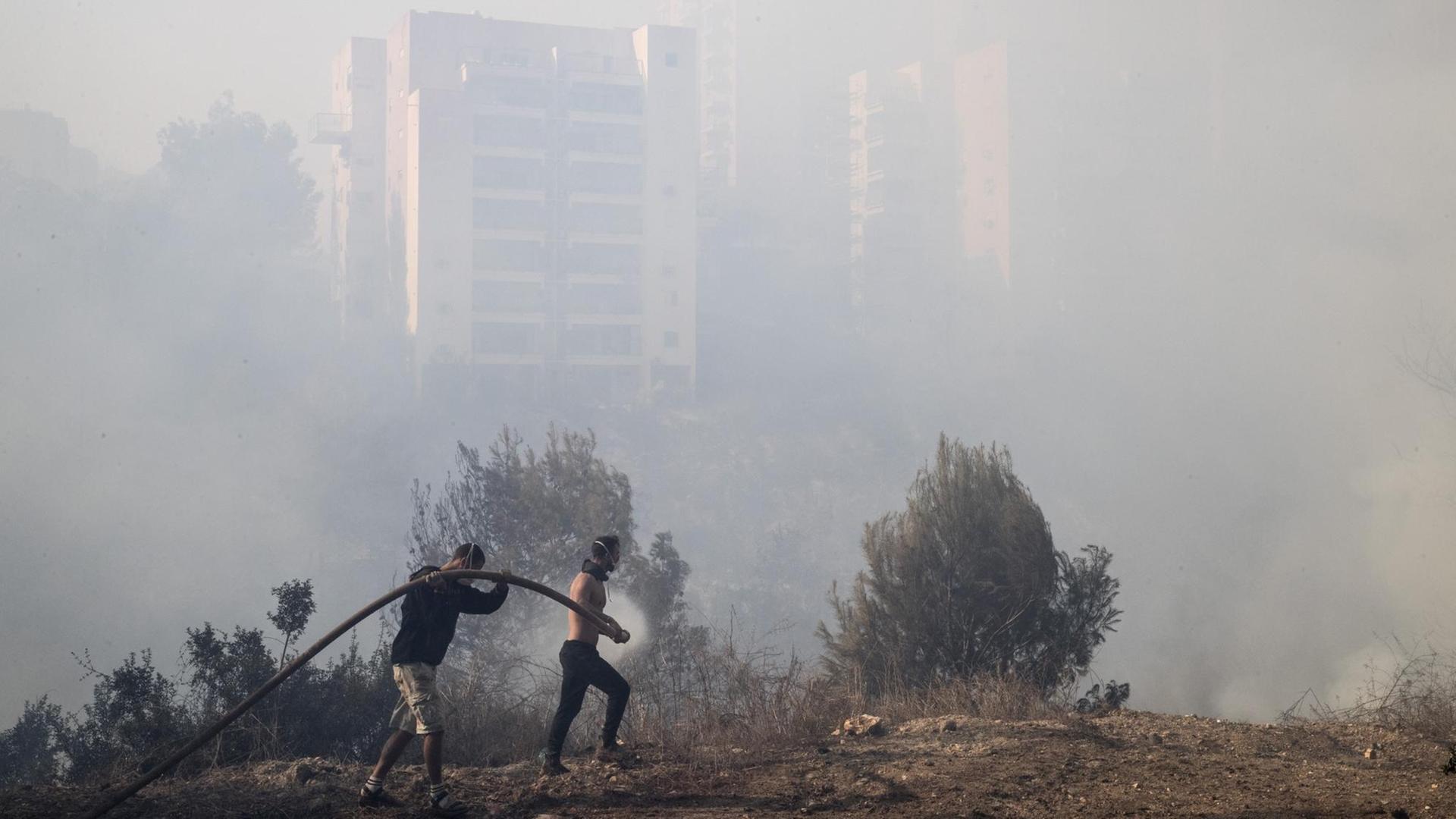 Freiwillige helfen das Feuer in der nordisraelischen Stadt Haifa zu bekämpfen.