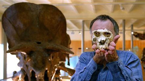 Salvador Moya-Sola präsentiert den Schädel des Pierolapithecus catalaunicus Salvador Moya-Sola präsentiert den Schädel des Pierolapithecus catalaunicus