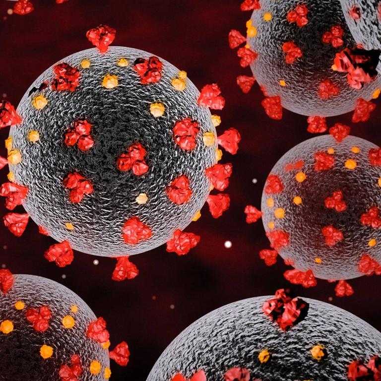 Modell des Coronavirus