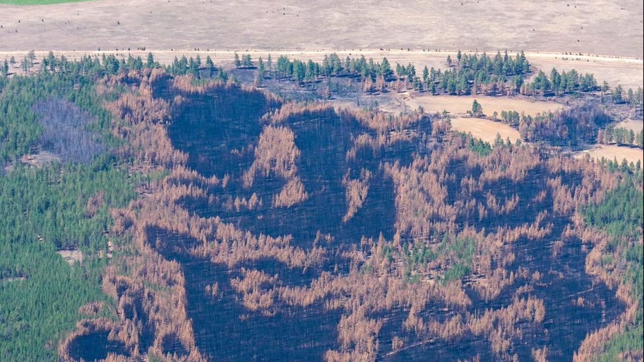 Luftaufnahme einer verbrannten Landschaft.