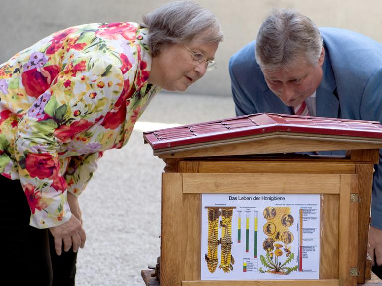 Bienen im Regierungsviertel: Bärbel Höhn (Die Grünen) und Martin Burkert (SPD) betrachten in einem Hof des Paul-Löbe-Hauses in Berlin einen neuen Bienenstock.