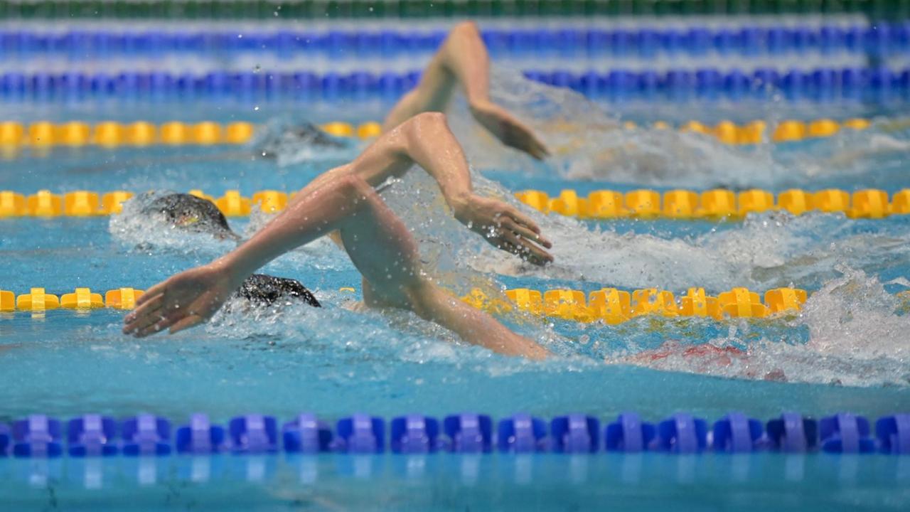 Von den Freistil-Schwimmern sind über Wasser nur die Ellbogen zu sehen