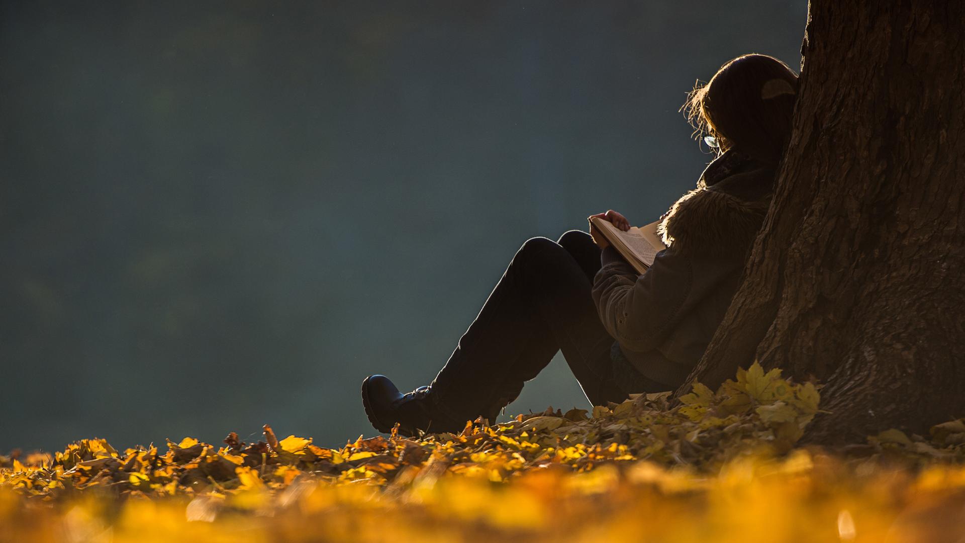 Eine Frau lehnt sitzend an einem Baum und liest ein Buch, Herbstblätter liegen auf dem Boden.