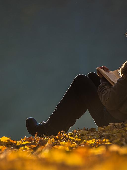 Eine Frau lehnt sitzend an einem Baum und liest ein Buch, Herbstblätter liegen auf dem Boden.