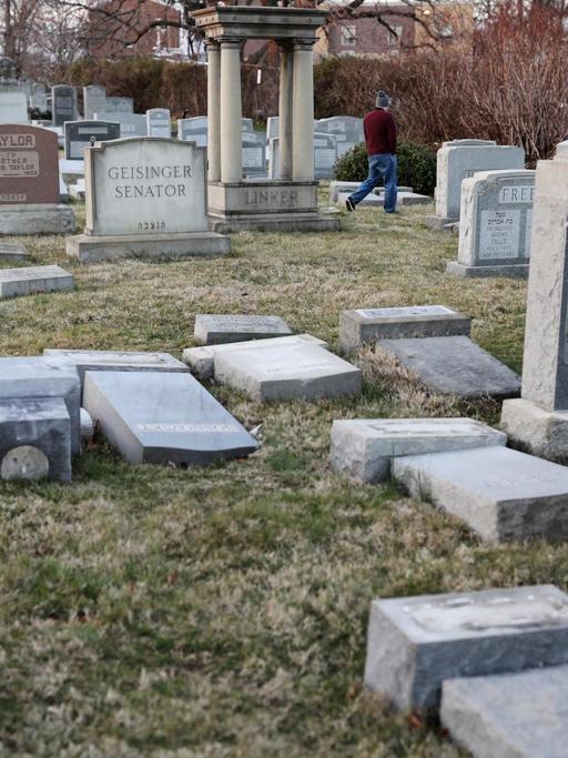 Vandalisierte Grabsteine auf dem jüdischen Mount Carmel Friedhof in Philadelphia im US-Bundesstaat Pennsylvania am 26. Februar 2017.