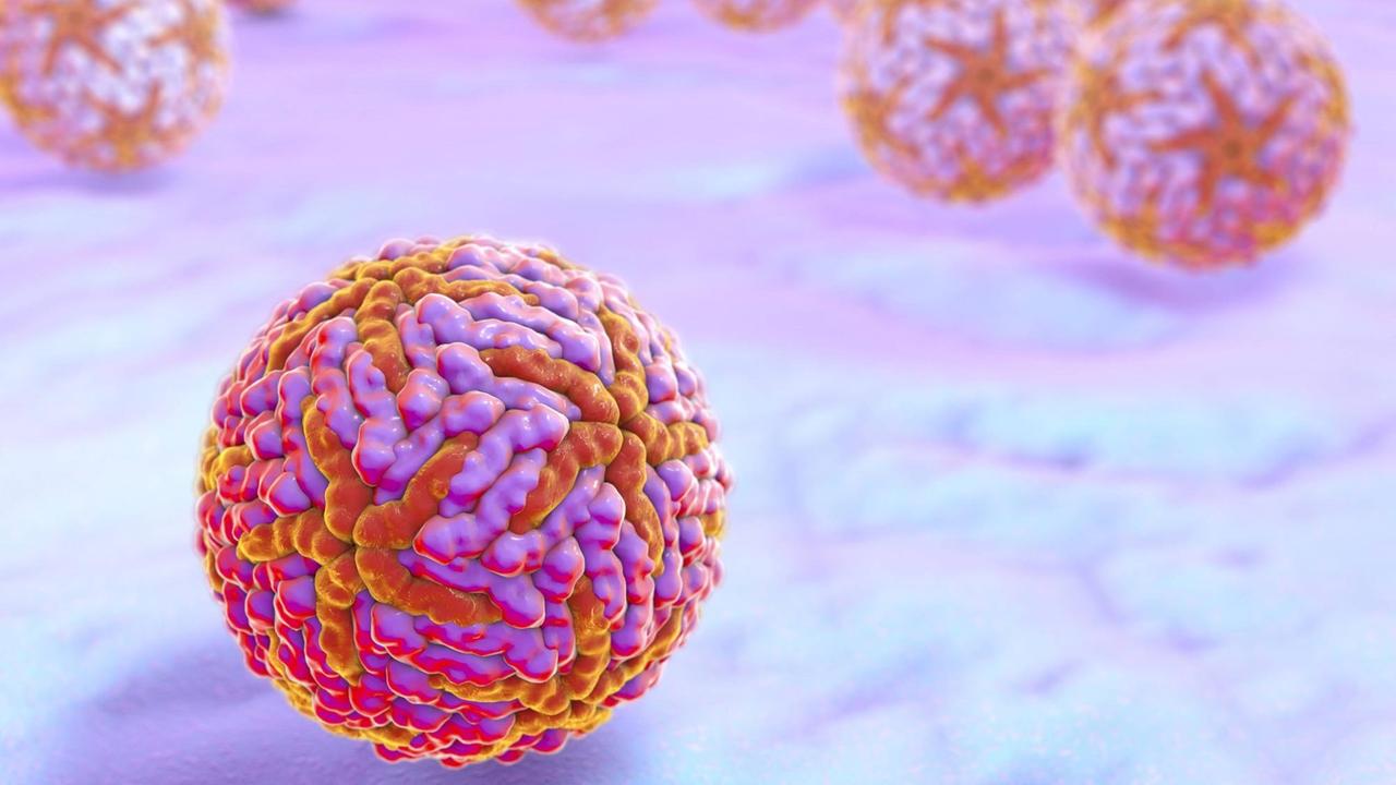 Die Computer-Illustration des Zika-Virus zeigt einen bunten Ball, der aus kleineren Kügelchen zusammengesetzt ist. 