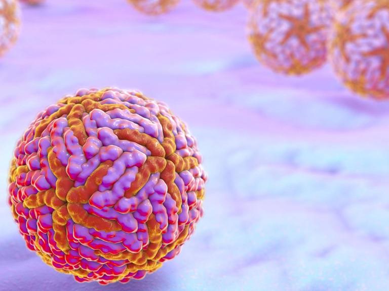 Die Computer-Illustration des Zika-Virus zeigt einen bunten Ball, der aus kleineren Kügelchen zusammengesetzt ist.