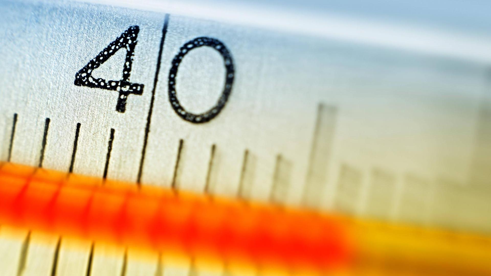 Ein Fieberthermometer zeigt eine Temperatur über 40 Grad