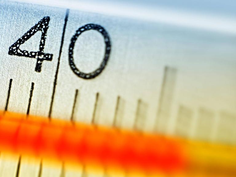 Ein Fieberthermometer zeigt eine Temperatur über 40 Grad