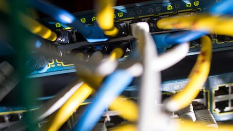 Netzwerkkabel stecken in einem Serverraum in einem Switch.