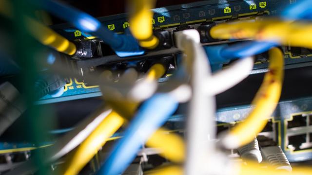 Netzwerkkabel stecken in einem Serverraum in einem Switch.