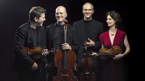 Das Streichquartett Cuarteto Casals mit Instrumenten: Abel Tomàs (Violine), Arnau Tomàs (Violoncello), Jonathan Brown (Viola), Vera Martínez Mehner (Violine), v.l.