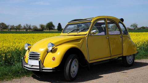 Ein gelber Citroën 2 CV, bekannt als Ente, steht neben einem Rapsfeld