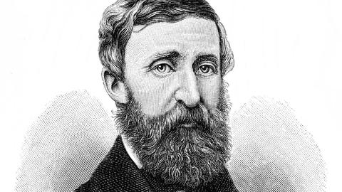 Henry David Thoreau in einer Zeichnung aus dem 19. Jahrhundert.