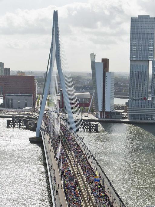 Blick auf die Erasmusbrücke in Rotterdam