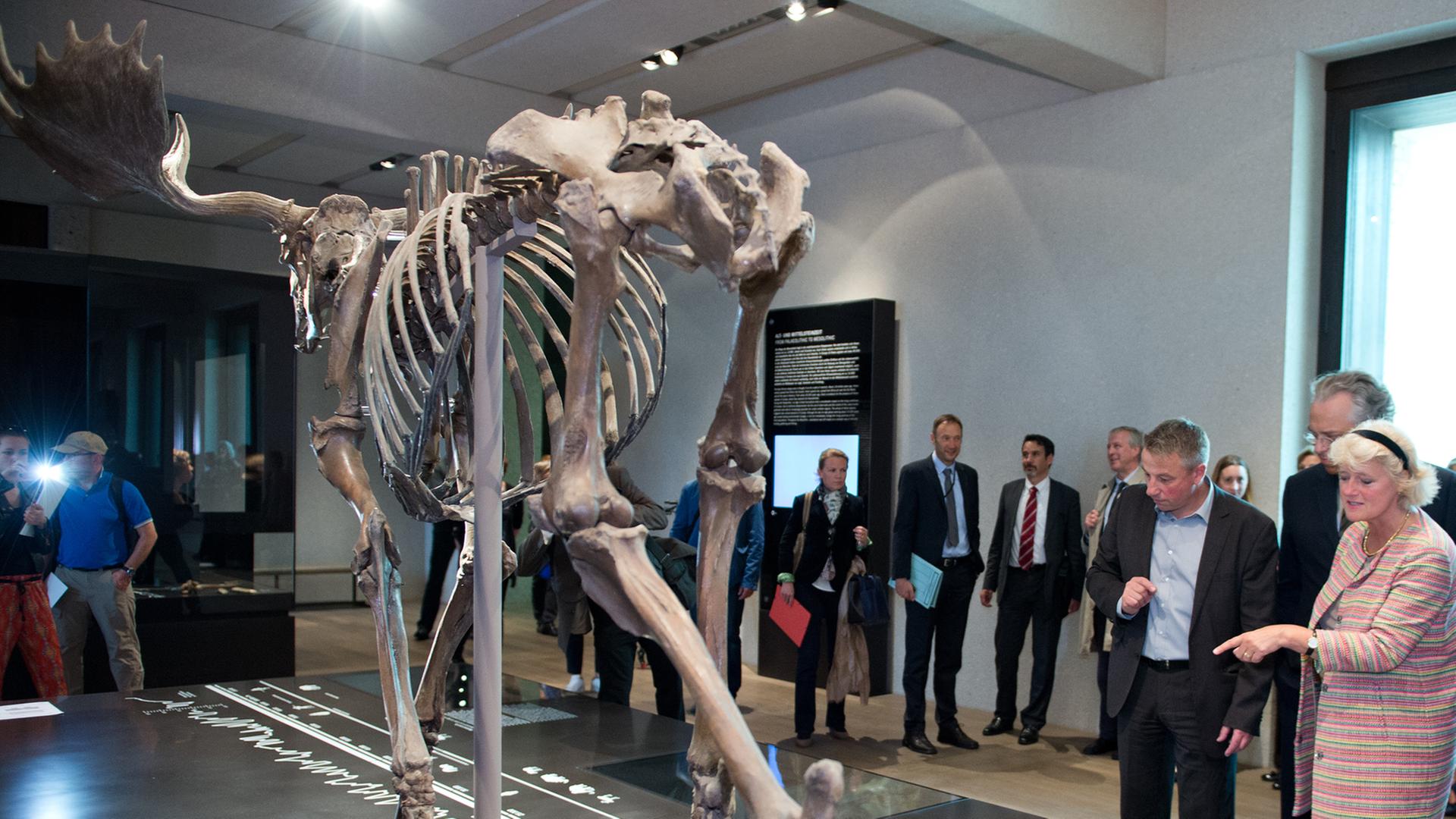 Die neue Dauerausstellung "Steinzeit.Bronzezeit. Eisenzeit" im Neuen Museum in Berlin wird eröffnet Die neue Dauerausstellung "Steinzeit.Bronzezeit. Eisenzeit" im Neuen Museum in Berlin wird eröffnet