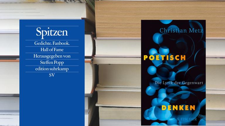 Steffen Popp (HG.): "Spitzen", Suhrkamp Verlag und Christian Metz: "Poetisch denken", S.Fischer Verlag