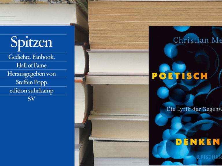 Steffen Popp (HG.): "Spitzen", Suhrkamp Verlag und Christian Metz: "Poetisch denken", S.Fischer Verlag