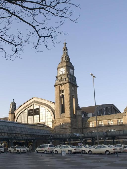 Der Hauptbahnhof in Hamburg.