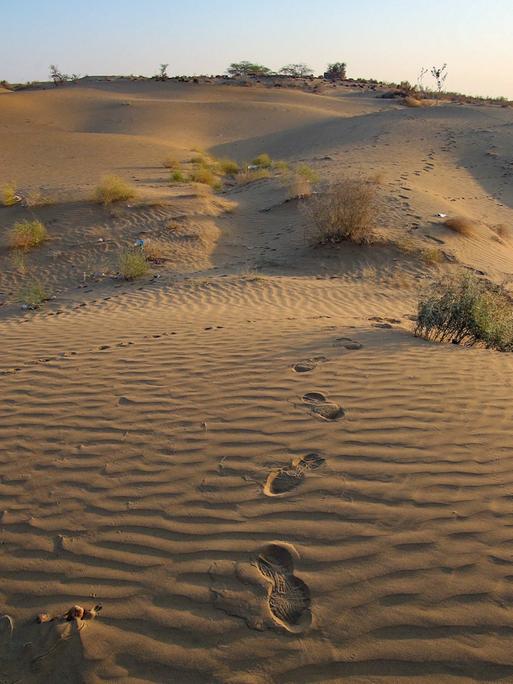 Im Sand der Großen Indischen Wüste sind Fußspuren zu sehen.