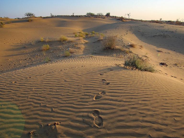 Im Sand der Großen Indischen Wüste sind Fußspuren zu sehen.