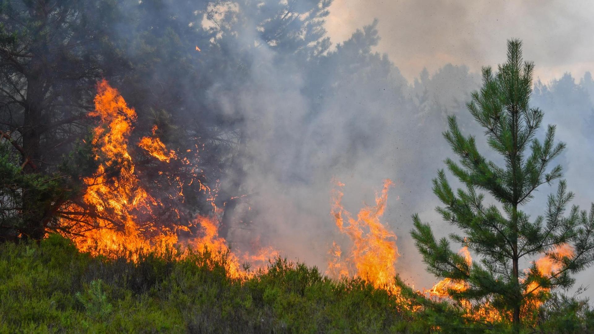 Brandenburg, Lieberose: Wald- und Heideflächen brennen auf einem ehemaligen Truppenübungsplatz in Südbrandenburg. Brandenburg, Lieberose: Wald- und Heideflächen brennen auf einem ehemaligen Truppenübungsplatz in Südbrandenburg.