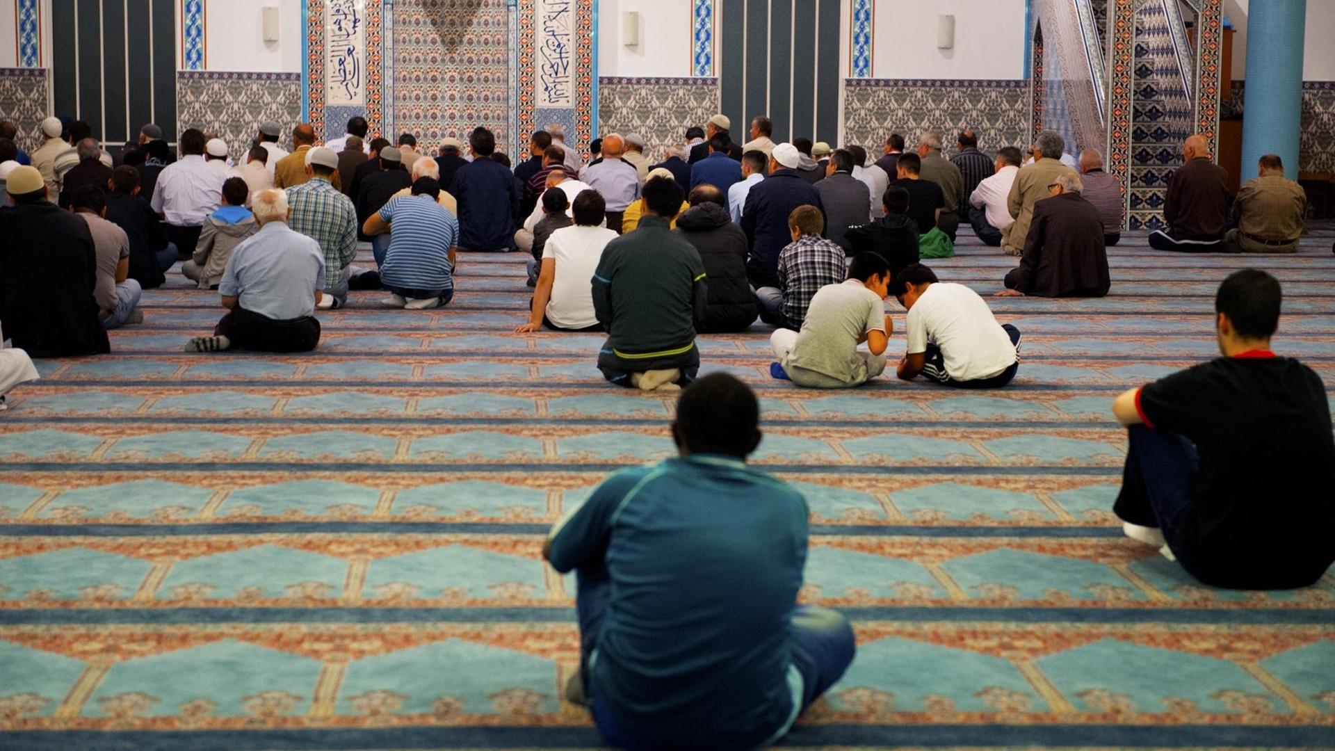 Muslime bei einem Gebet in der Mevlana-Moschee in Rotterdam in den Niederlanden.