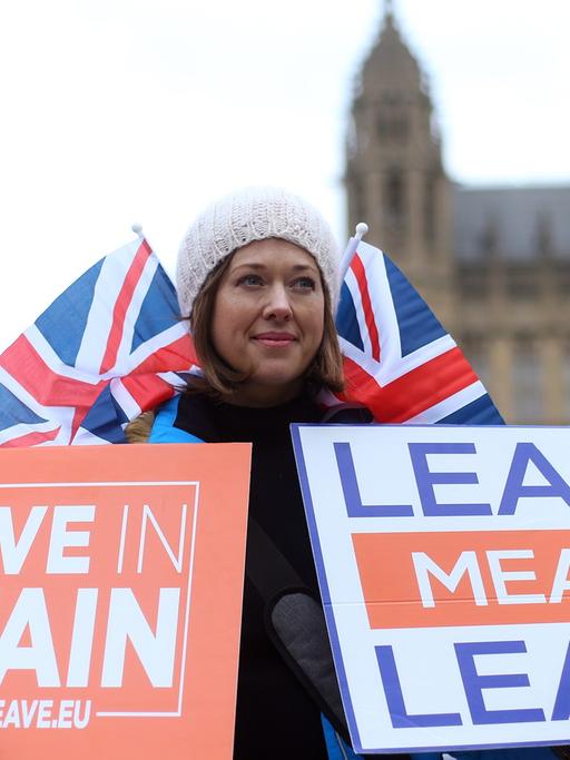 Eine Frau protestiert am 15.1.2019, dem Tag der Abstimmung, mit zwei Schildern vor dem britischen Unterhaus in London.