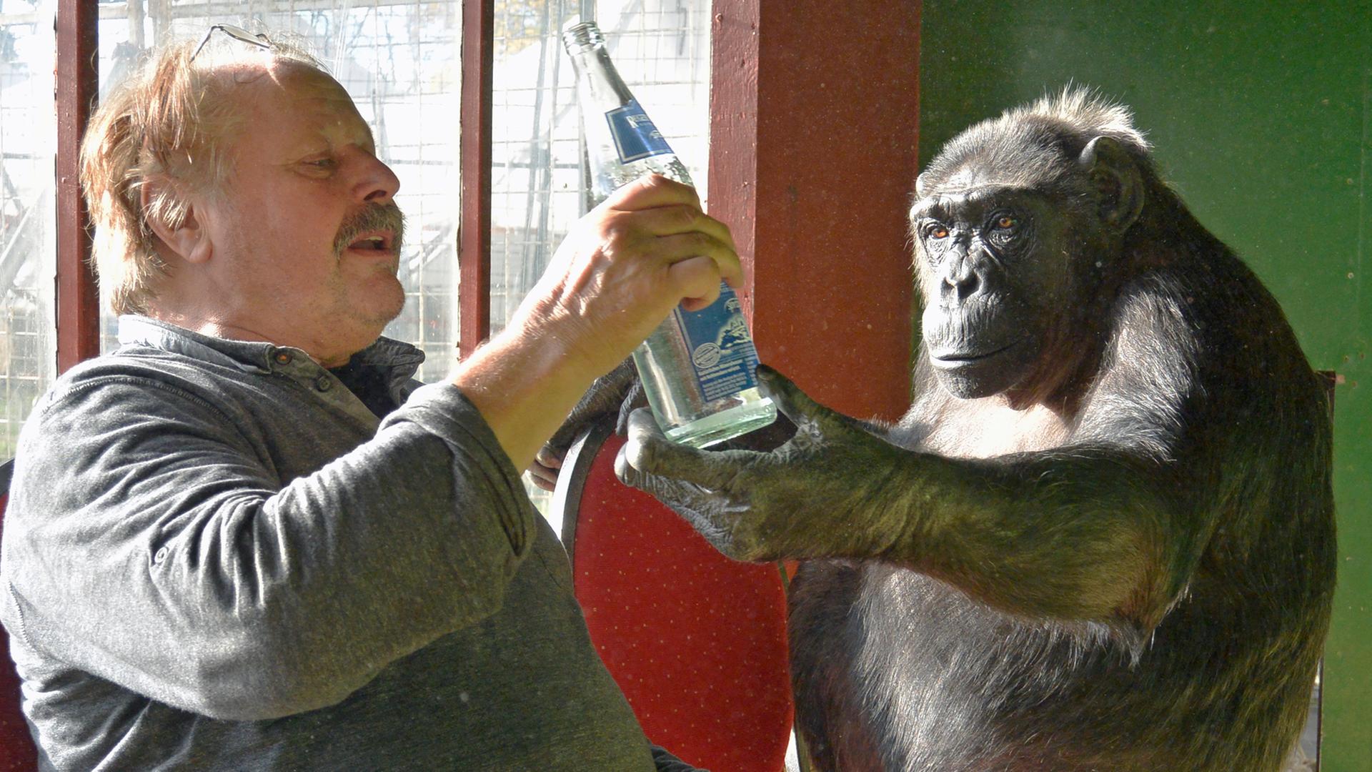 Zirkusdirektor Klaus Köhler reicht Schimpanse Robby eine Wasserflasche.