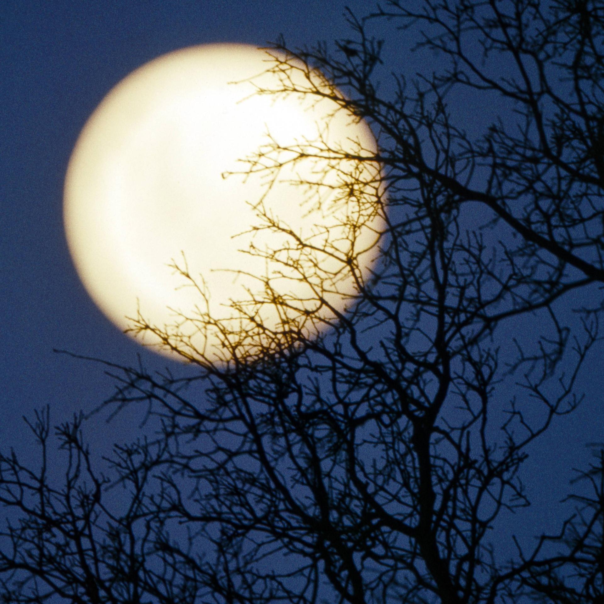 Guter Mond - Wer baut da oben das Dorf?