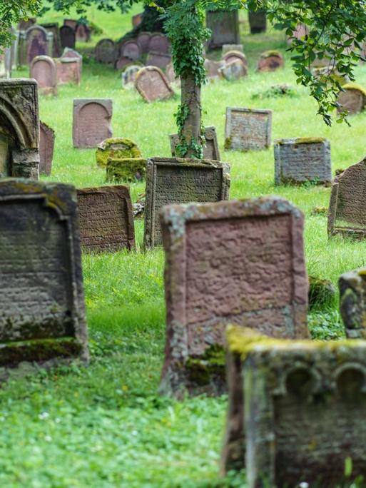 Grabsteine auf dem Friedhof "Heiliger Sand" in Worms. Er ist der älteste jüdische Friedhof Europas und als Teil der sogenannten SchUM-Stätten jetzt Weltkulturerbe.