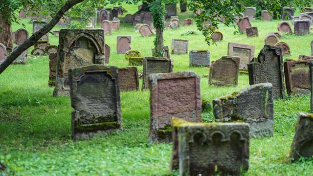 Das Foto zeigt Grab-Steine auf dem jüdischen Friedhof "Heiliger Sand" in Worms.