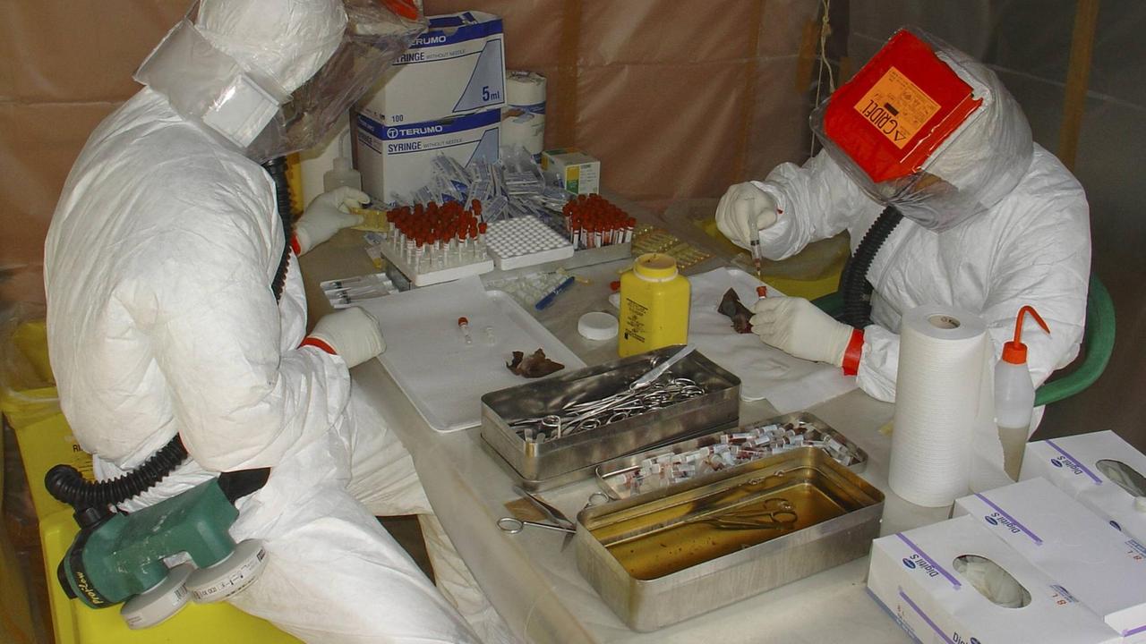 Virologen in Schutzkleidung nehmen eine Blutprobe bei einer Fledermaus auf der Suche nach mit Ebola infizierten Wirtstieren (Aufnahme von 2005 aus Mbomo, Republik Kongo)