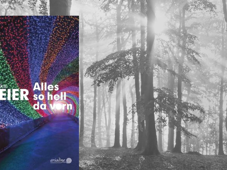Monika Geiers Krimi "Alles so hell da vorn". Im Hintergrund: ein nebliger Wald mit Sonne.