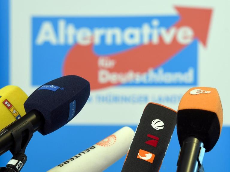 Mikrofone verschiedener Fernsehsender stehen im Thüringer Landtag in Erfurt vor dem Parteilogo der AfD.
