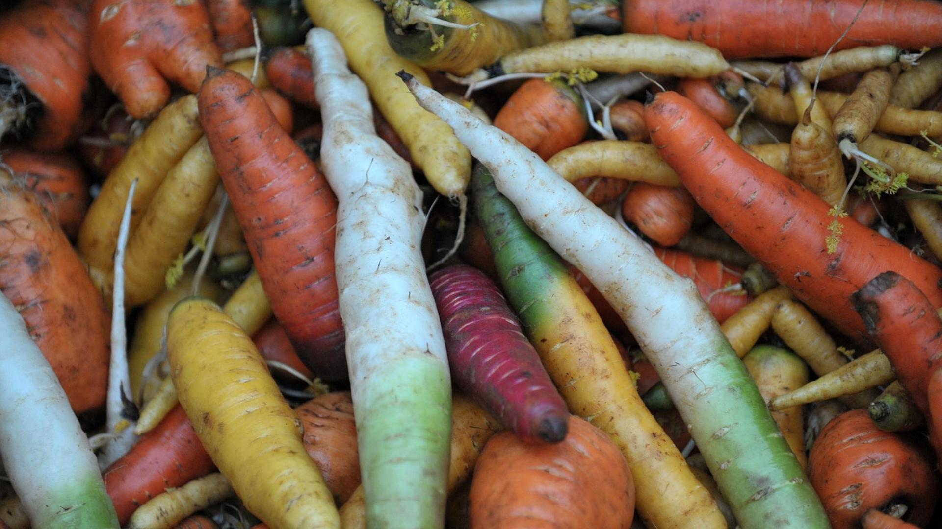 Traditionelle Nutzpflanzen Gärtnern mit alten Sorten