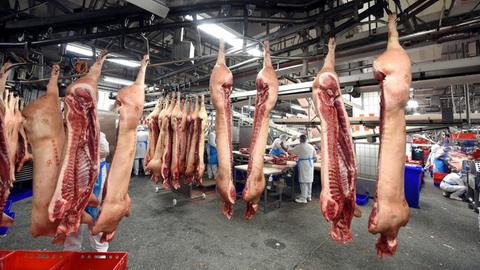 Arbeiter stehen zwischen aufgehangenen Schweinehälften im Werk von Tönnies in Rheda-Wiedenbrück.