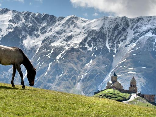 Ein Pferd weidet am georgischen Berg Kasbek, im Hintergrund ist die Gergetier Dreifaltigkeitskirche zu sehen