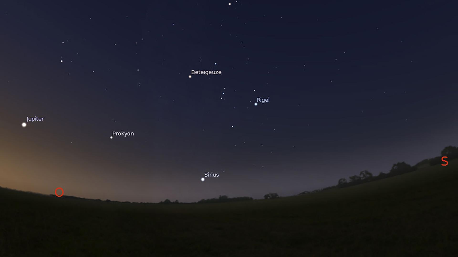Sirius taucht jetzt in der Morgendämmerung tief im Südosten auf.