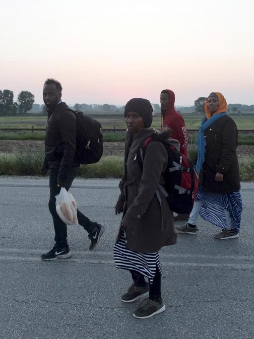 Eine fünfköpfige Gruppe von Migranten läuft im Morgengrauen über eine Landstraße im Nordosten Griechenlands. Im Hintergrund Felder, Wiesen und Bäume.