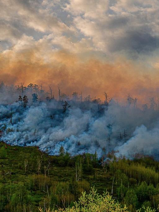 Waldbrand in Russland. Ein Hubschrauber lässt Wasser über brennenden Bäumen ab.